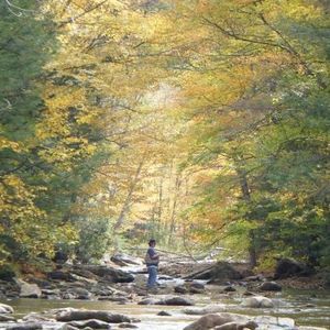 Meet your Posher, Adam